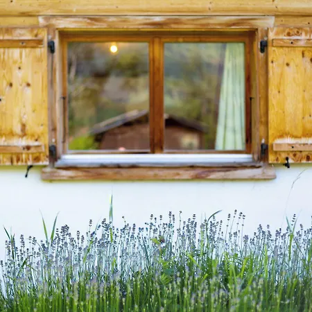 Chalet Lupin *